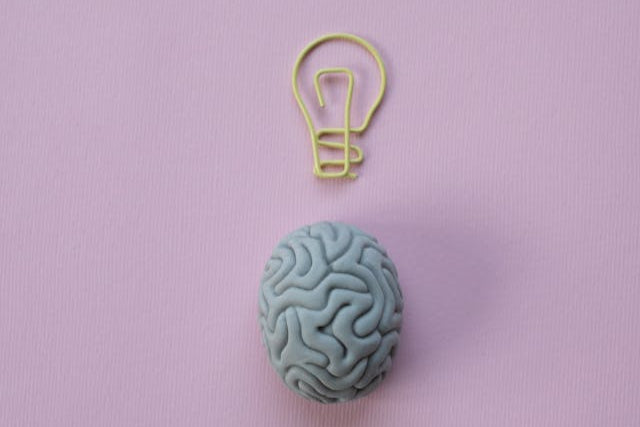 Brain with Idea lightbulb illustration