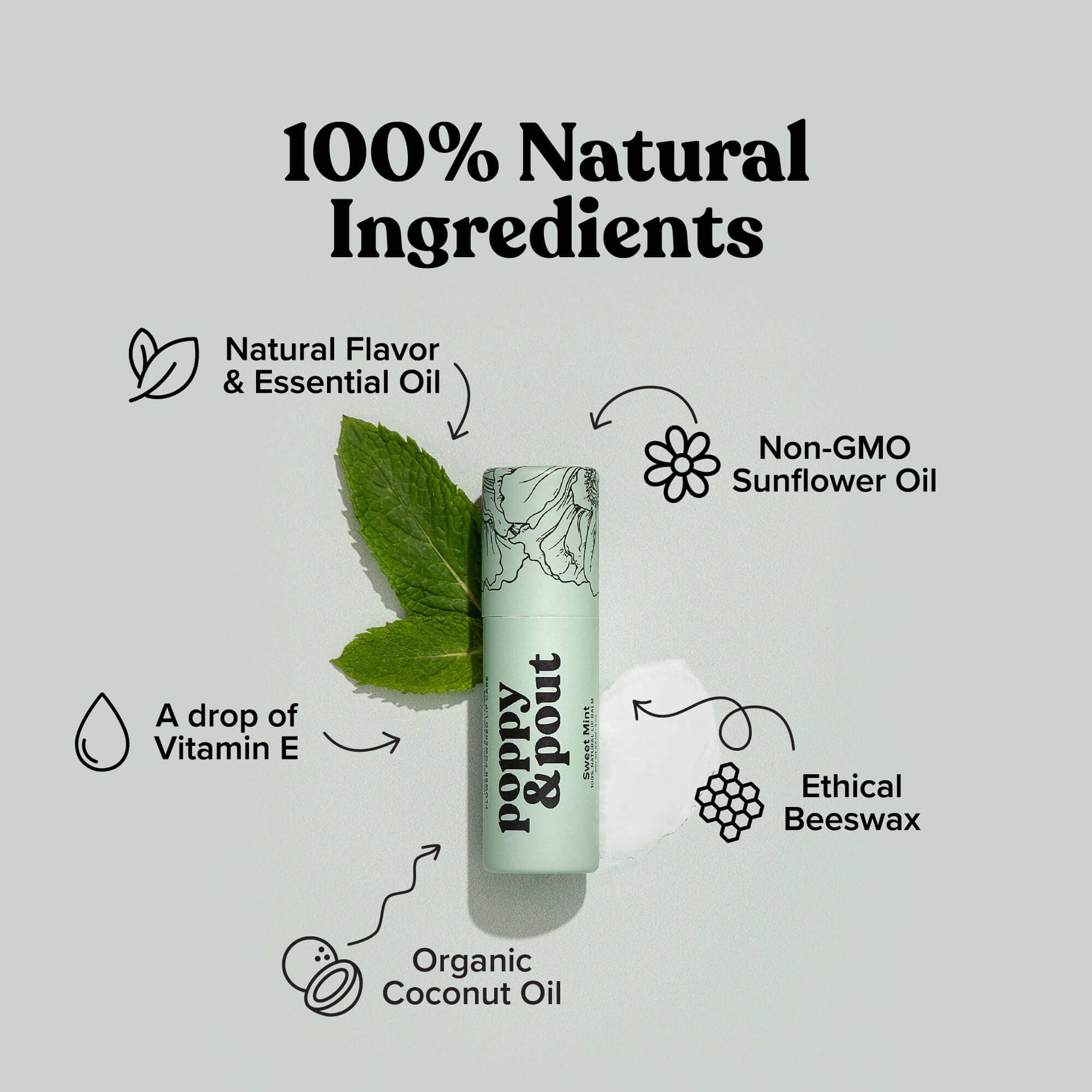 Poppy & Pout Sweet Mint Lip Balm tube displayed with text highlighting its '100% Natural Ingredients.' Surrounding the balm are descriptions of each ingredient: 'Natural Flavor & Essential Oil,' 'Non-GMO Sunflower Oil,' 'Ethical Beeswax,' 'Organic Coconut Oil,' and 'A drop of Vitamin E.' Fresh mint leaves are shown beside the balm, emphasizing its minty flavor and commitment to natural, sustainable ingredients.